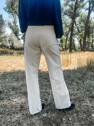 High Rise Fly Front Trouser with Pleats