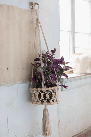 Hand-Woven Macrame & Rattan Plant Hanger - Allure Boutique WY
