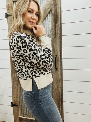 Spotted Soft Touch Popover Sweater