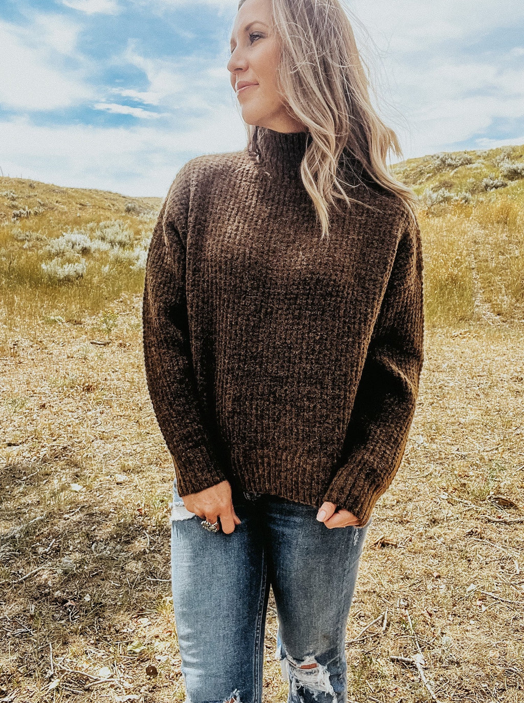 Chocolate Knit Turtleneck Sweater