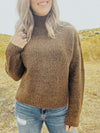 Chocolate Knit Turtleneck Sweater