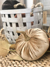 Velvet Pumpkin with Stem
