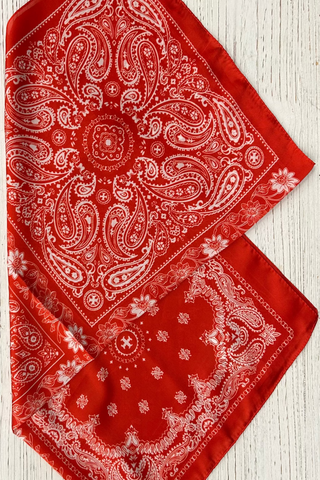 Red Paisley Bandana - 25x25