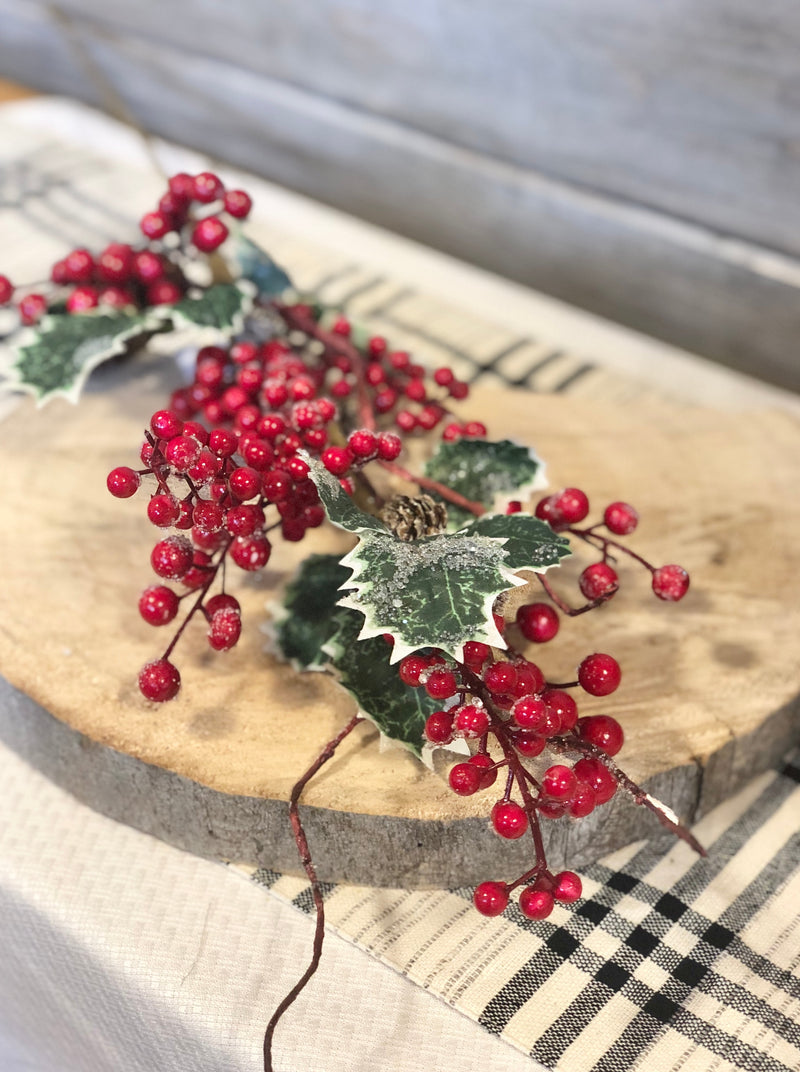 Sparkling Variegated Holly with Berries Branch