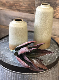 Aloe Succulent Pick - Allure Boutique WY