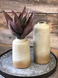 Aloe Succulent Pick - Allure Boutique WY