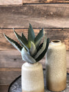 Aloe Succulent Pick - Allure Boutique WY