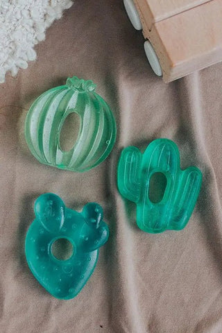 Cactus Water Teethers - Allure Boutique WY