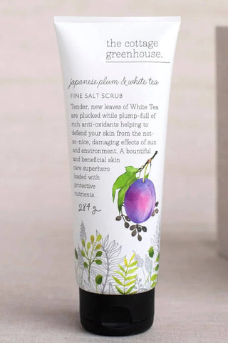 Japanese Plum + White Tea Salt Scrub - Allure Boutique WY