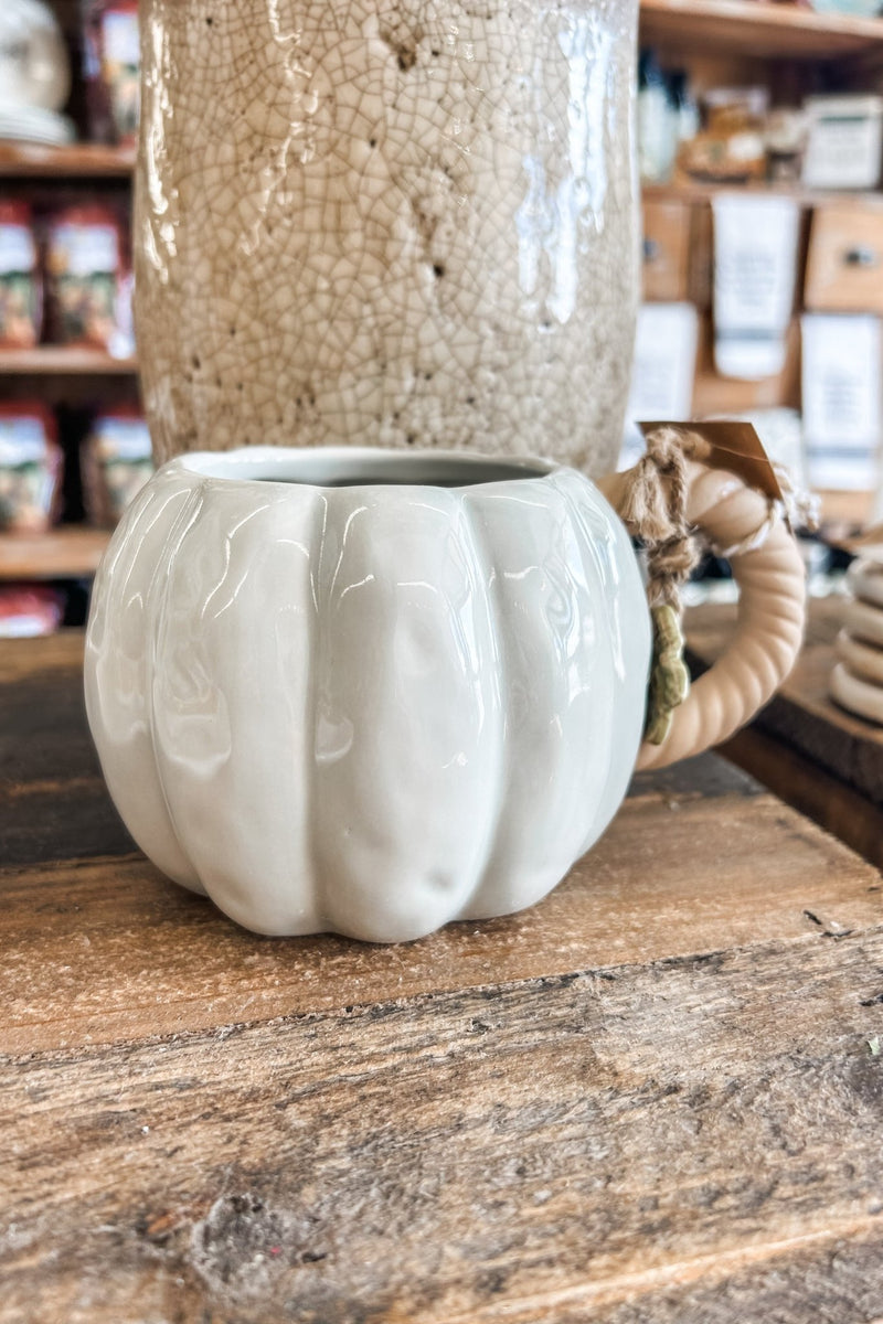 Pumpkin Shaped Mug - Allure Boutique WY