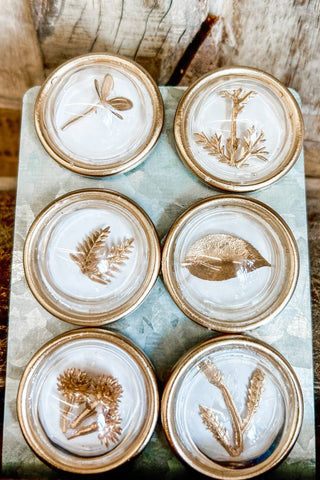 Resin Convex Magnets with Botanicals - Allure Boutique WY