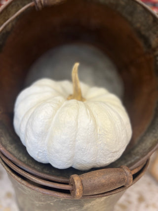 Resin White Pumpkin - 8"H x 6"W - Allure Boutique WY