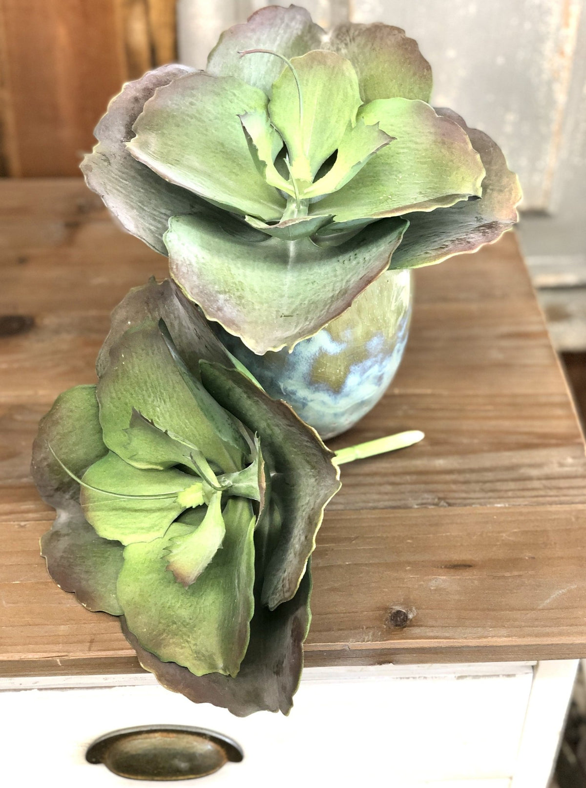 Succulent Single Stem Large - Allure Boutique WY