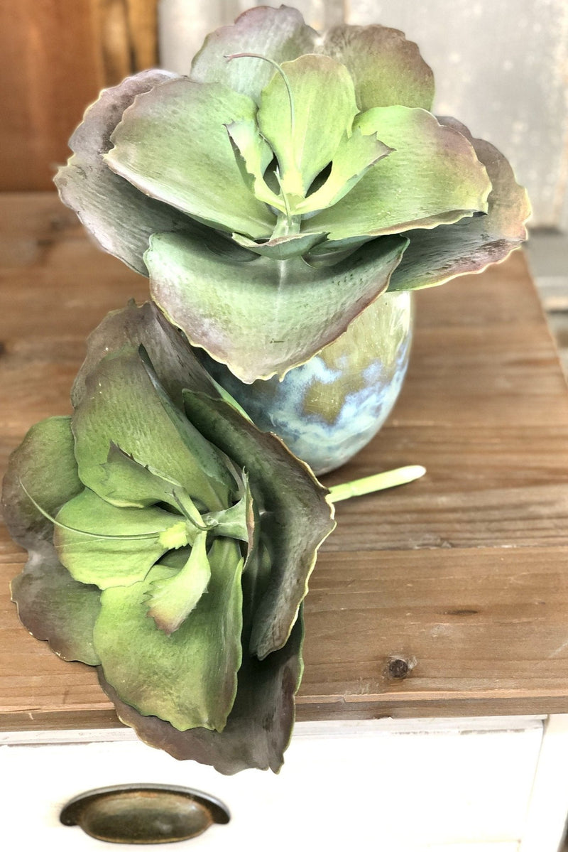 Succulent Single Stem Large - Allure Boutique WY