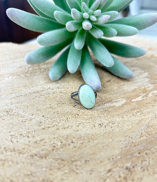 Oval Palomino Turquoise Ring 7