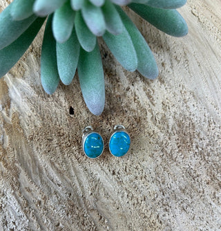 Turquoise Large Stud Post Earring - Allure Boutique WY