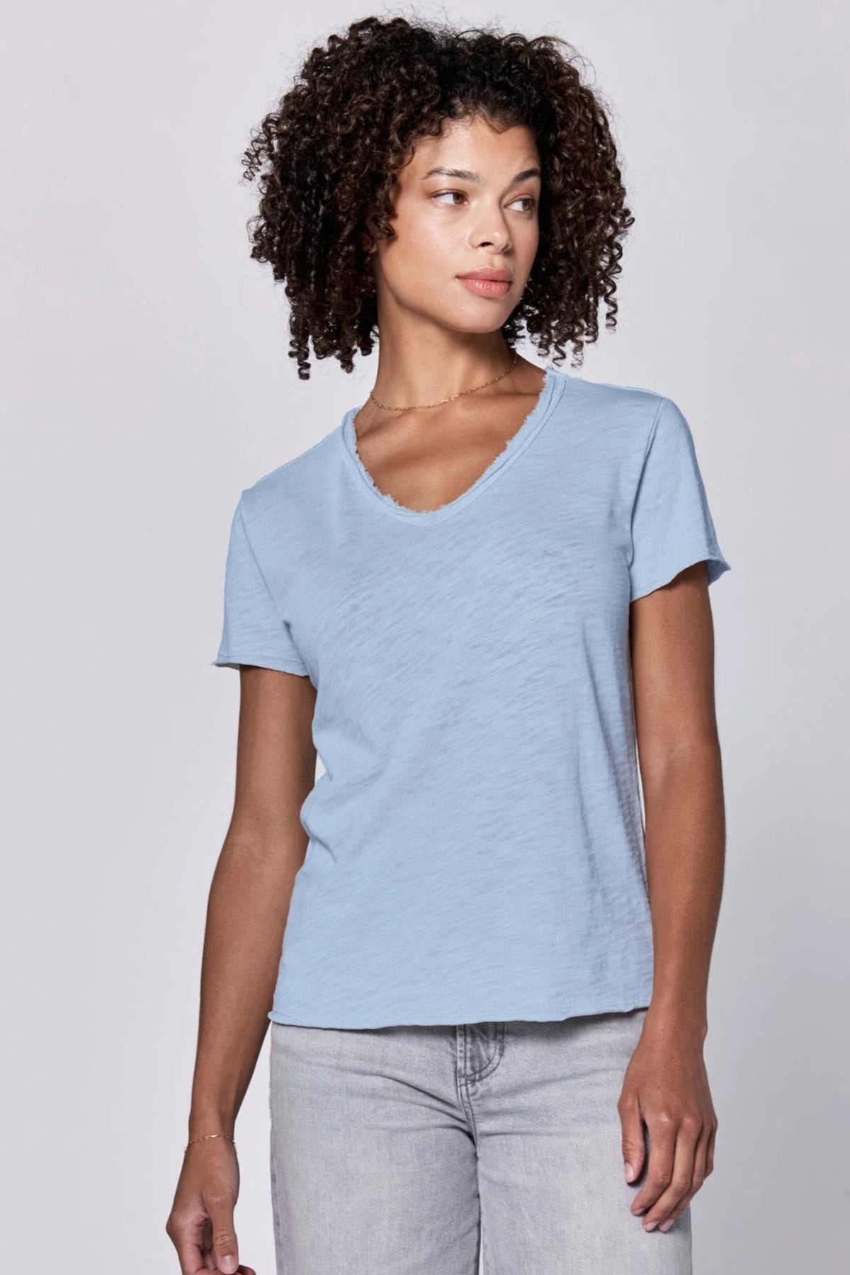 Vanya V - neck Short Sleeve Top Skyway - Allure Boutique WY