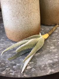 Aloe Succulent Pick