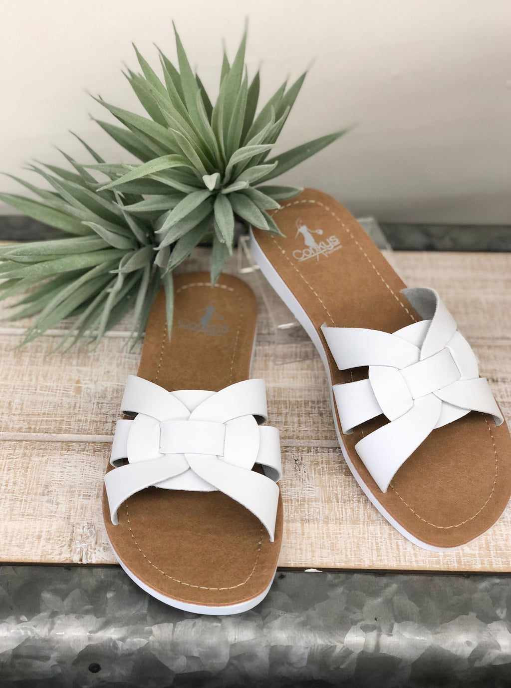 Rouge In White Flat Sandal